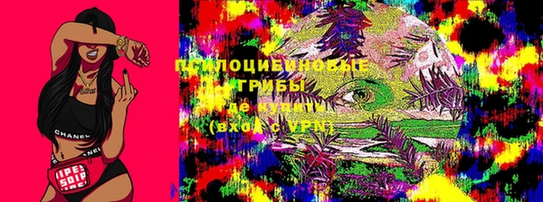 мдпв Киренск