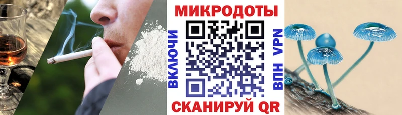 Галлюциногенные грибы Psilocybine cubensis  Купить где  Люберцы 