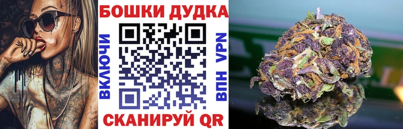 Купить где  Люберцы  Бошки Шишки план 